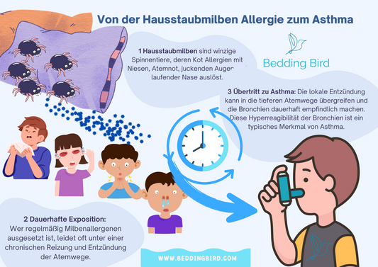 Der Weg von der Hausstaubmilben Allergie zum Asthma: Ein Blick auf die Entwicklung